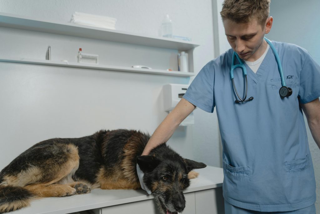 Veterinary Practices